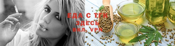 индика Каменногорск