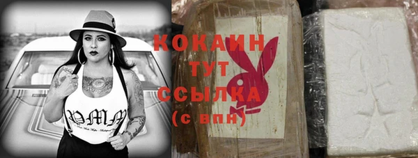 мет Каменка