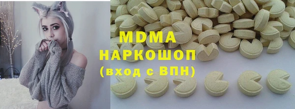 индика Каменногорск