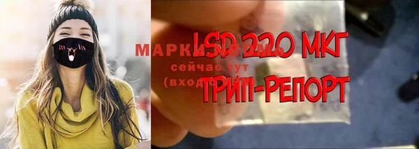 мет Каменка