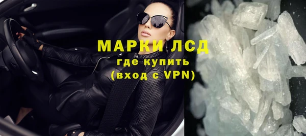 индика Каменногорск
