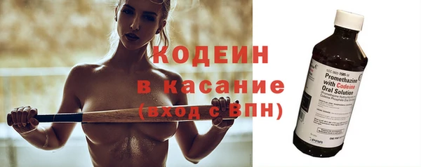 индика Каменногорск