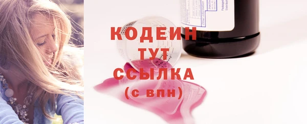 индика Каменногорск