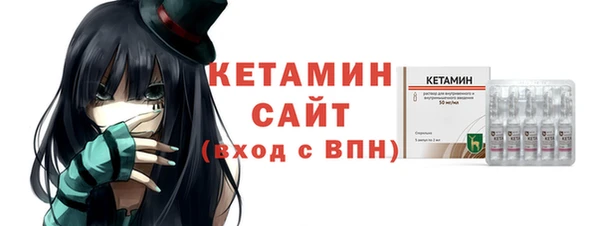 индика Каменногорск