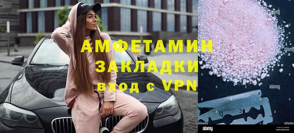 индика Каменногорск