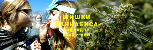 индика Каменногорск