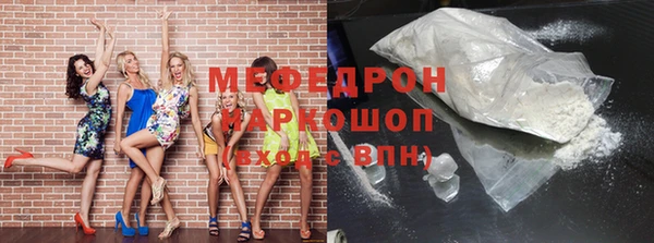 индика Каменногорск