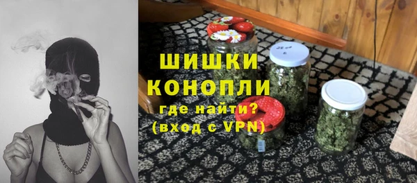 индика Каменногорск