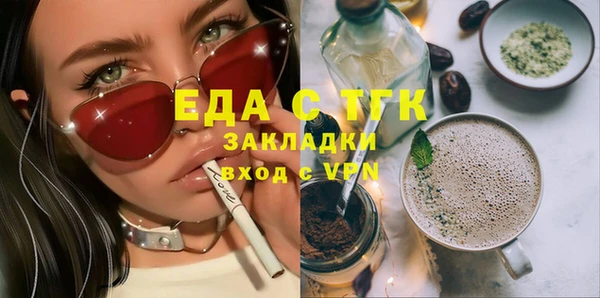 индика Каменногорск