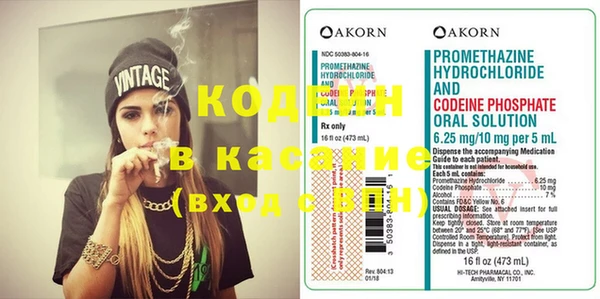 индика Каменногорск