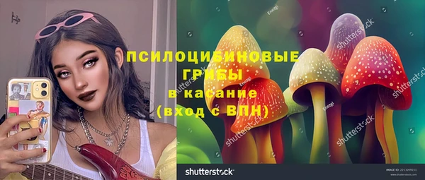 индика Каменногорск
