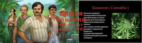 мет Каменка