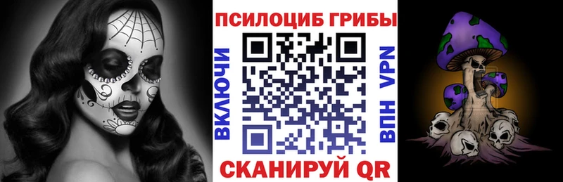 Купить Руза Псилоцибиновые грибы Psilocybe